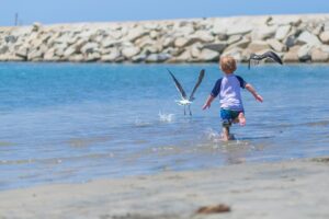 Boy, Beach, Chasing Birds, Joy, Fun, Child, Sea